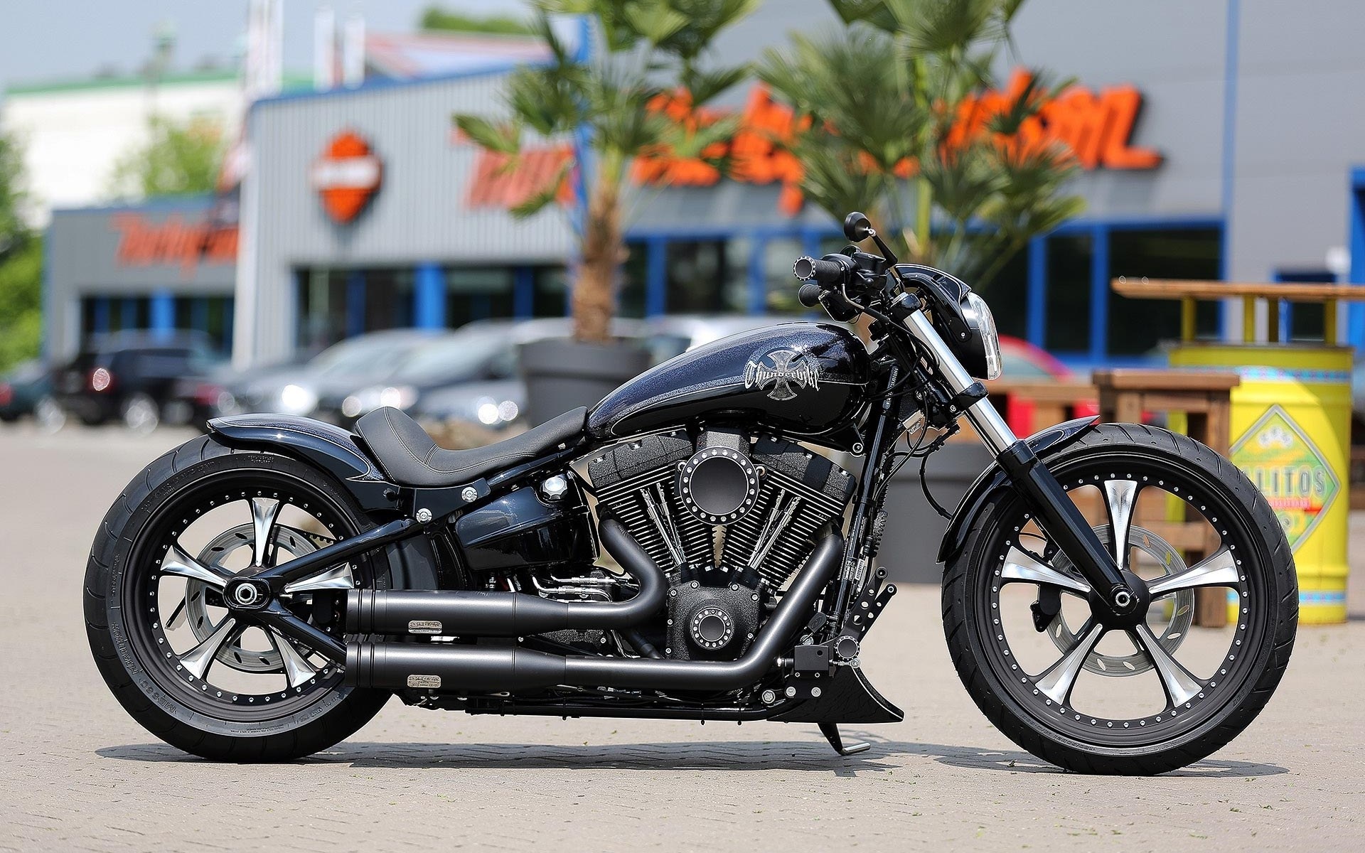 harley davidson, custom, thunderbike