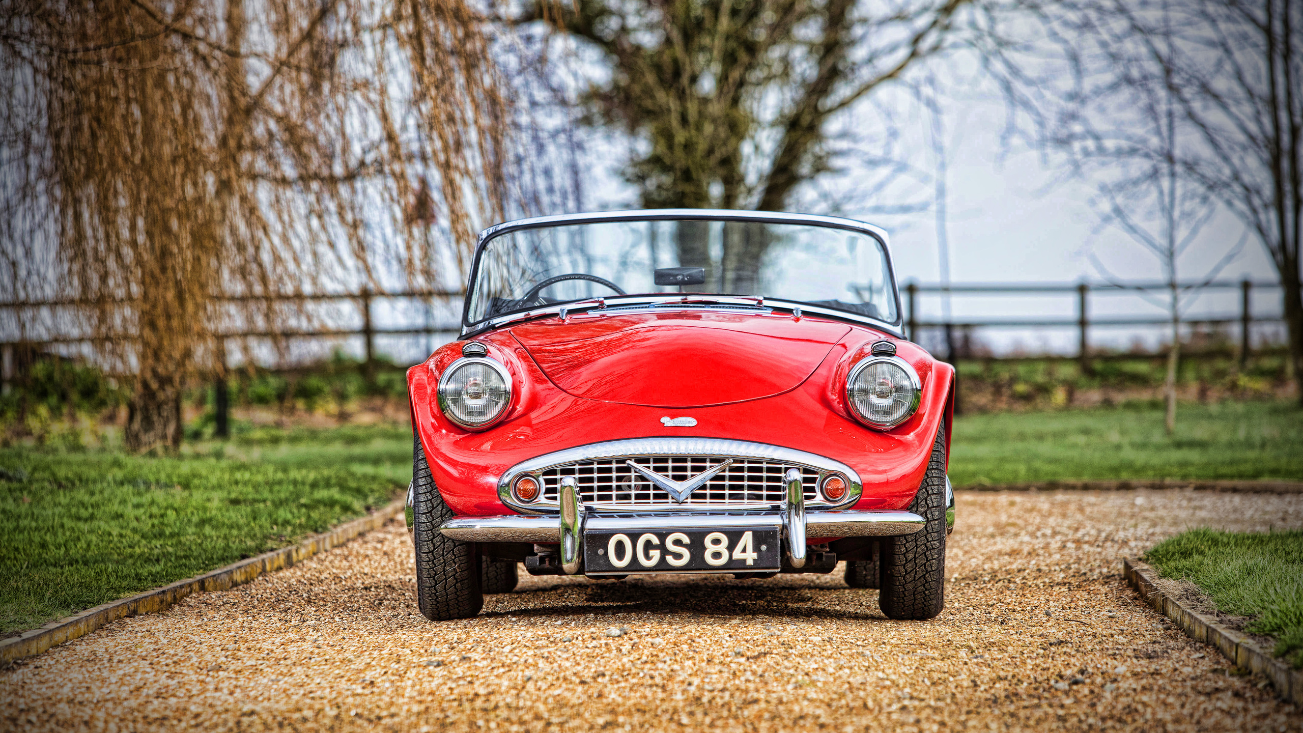 daimler, sp250, front view, 1959 cars, retro cars, hdr