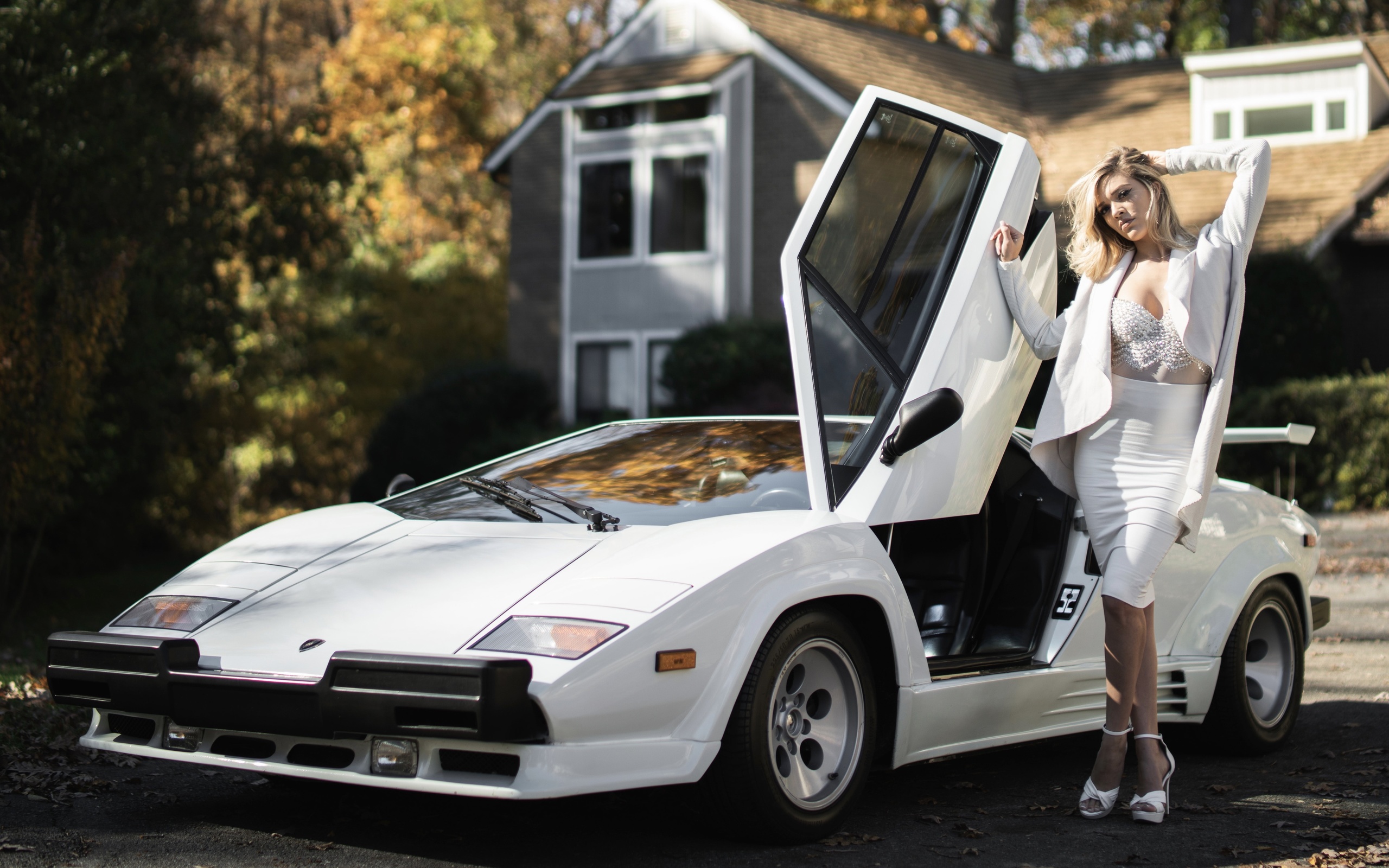 , countach, 