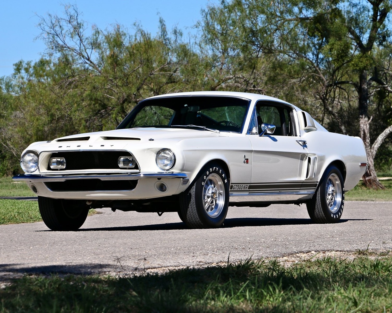 ford, mustang, gt, 500