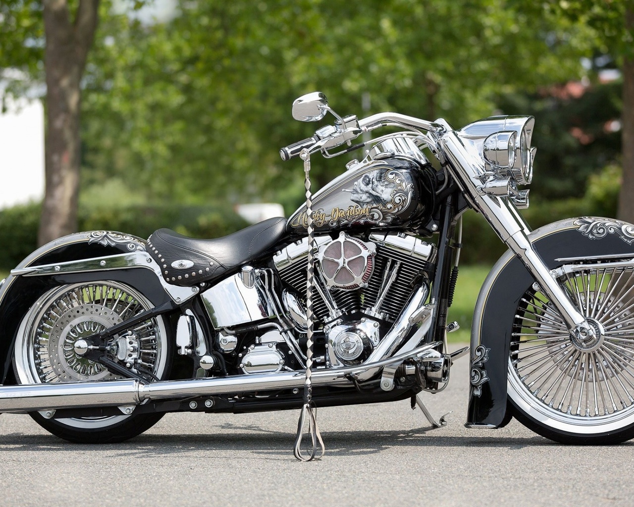 harley davidson, custom, thunderbike