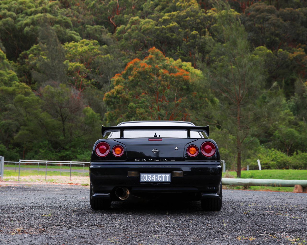 nissan skyline, r34, road, car, black car, nature