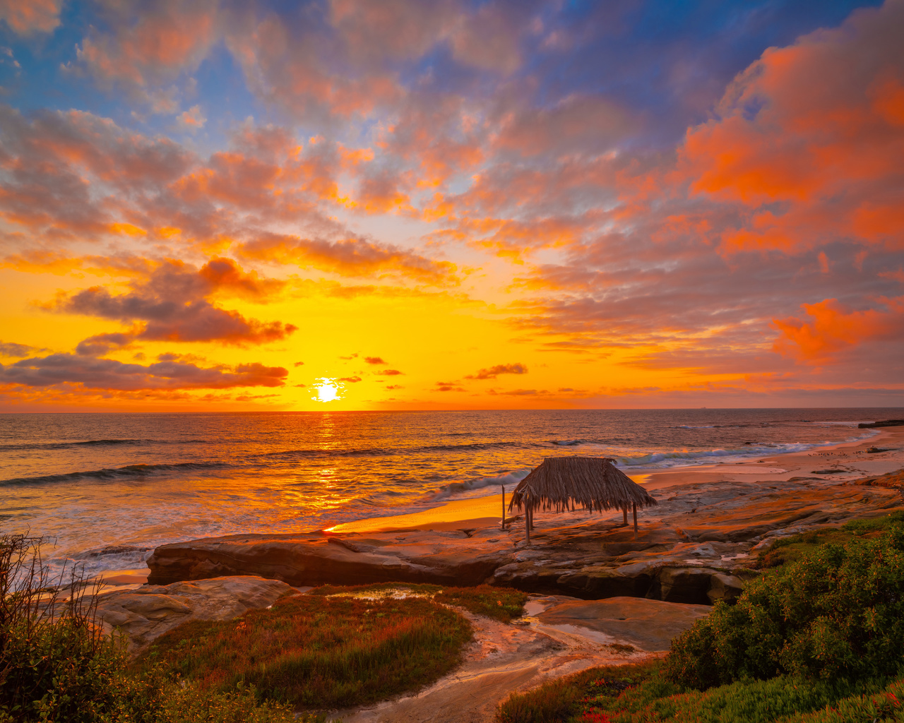 , , , , winandsea, beach, la jolla, , , 