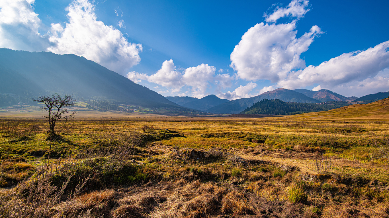 , , , gangteng valley, bhutan, , , , 