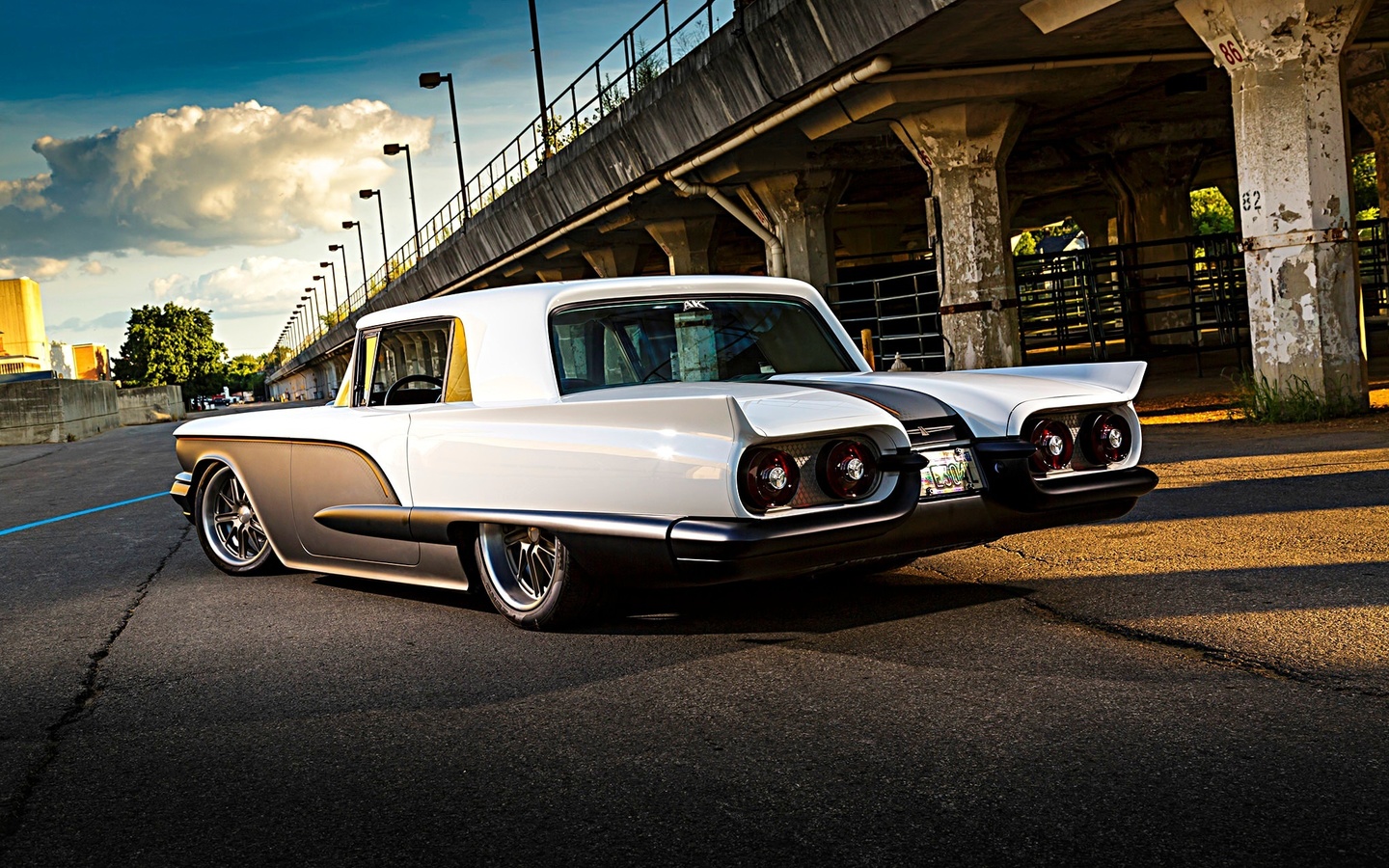 ford, thunderbird, custom