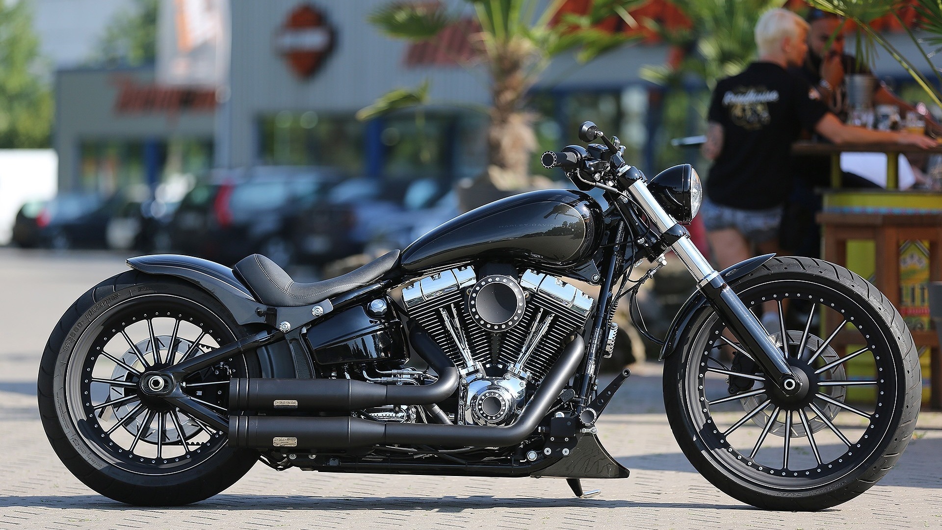 harley davidson, custom, thunderbike