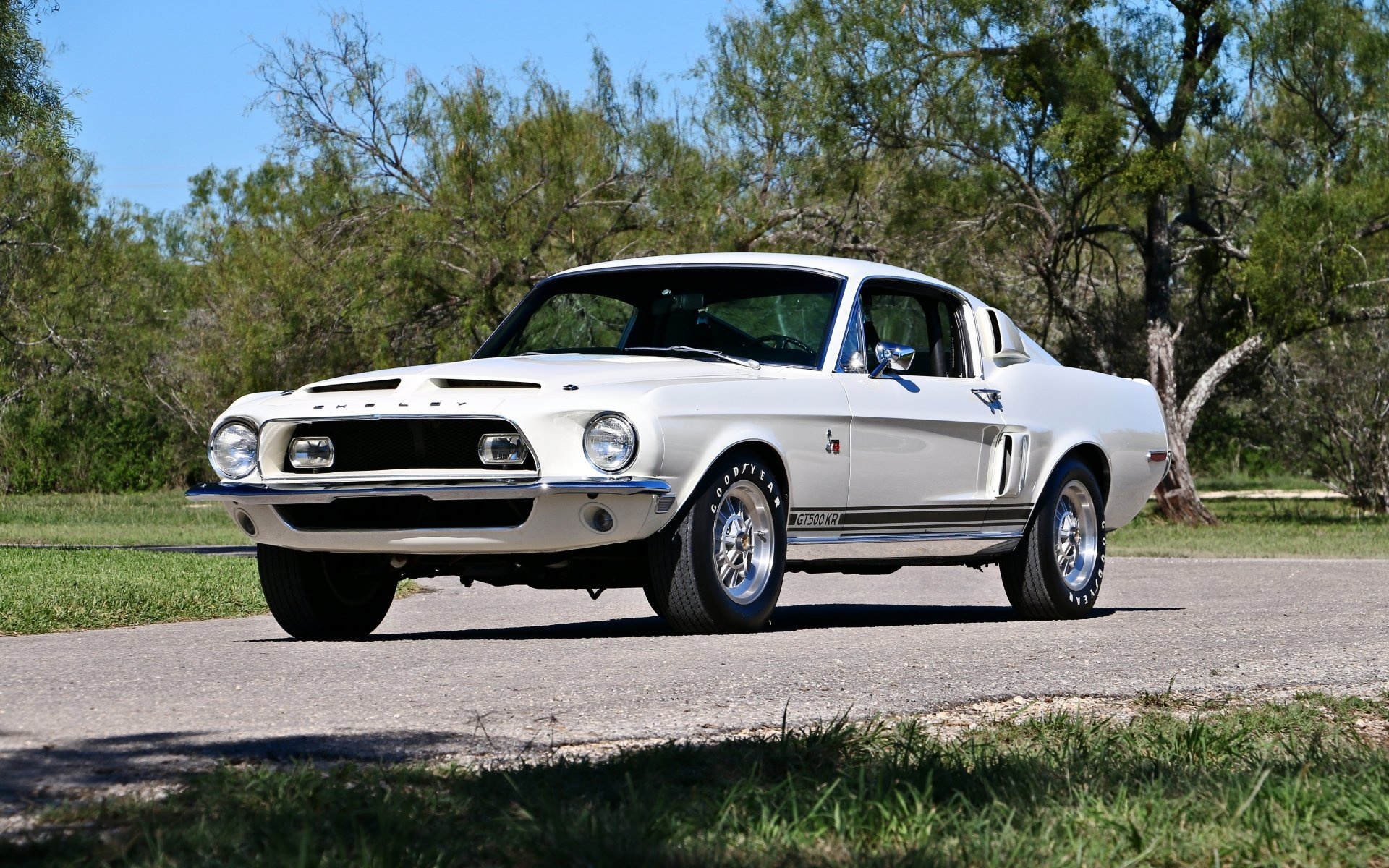 ford, mustang, gt, 500