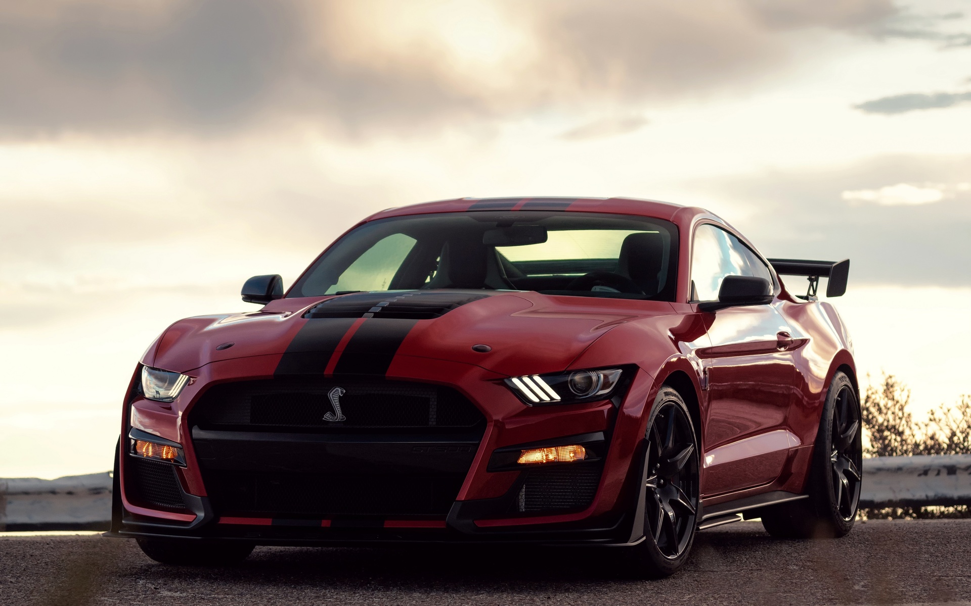 ford, mustang, shelby, gt500