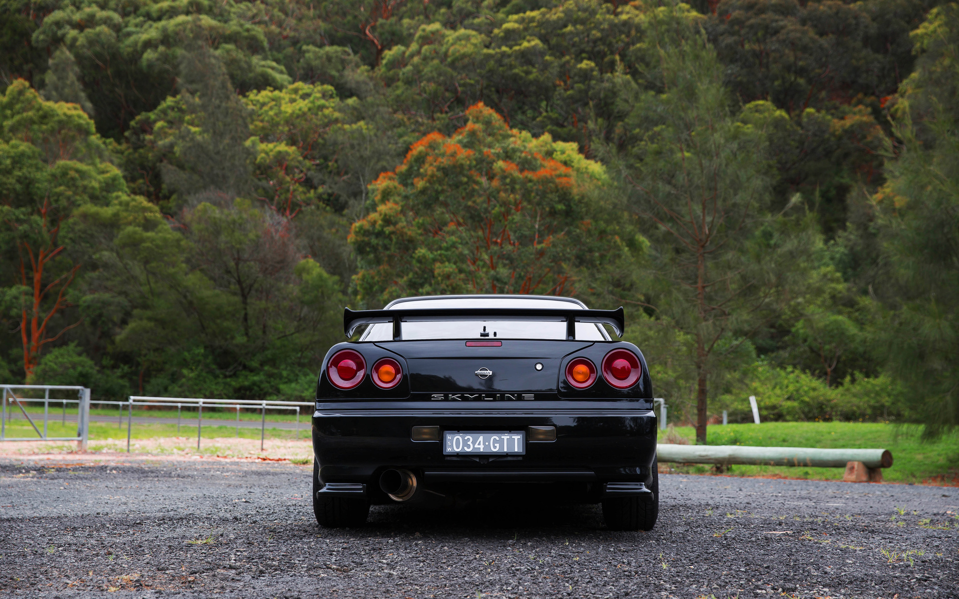 nissan skyline, r34, road, car, black car, nature