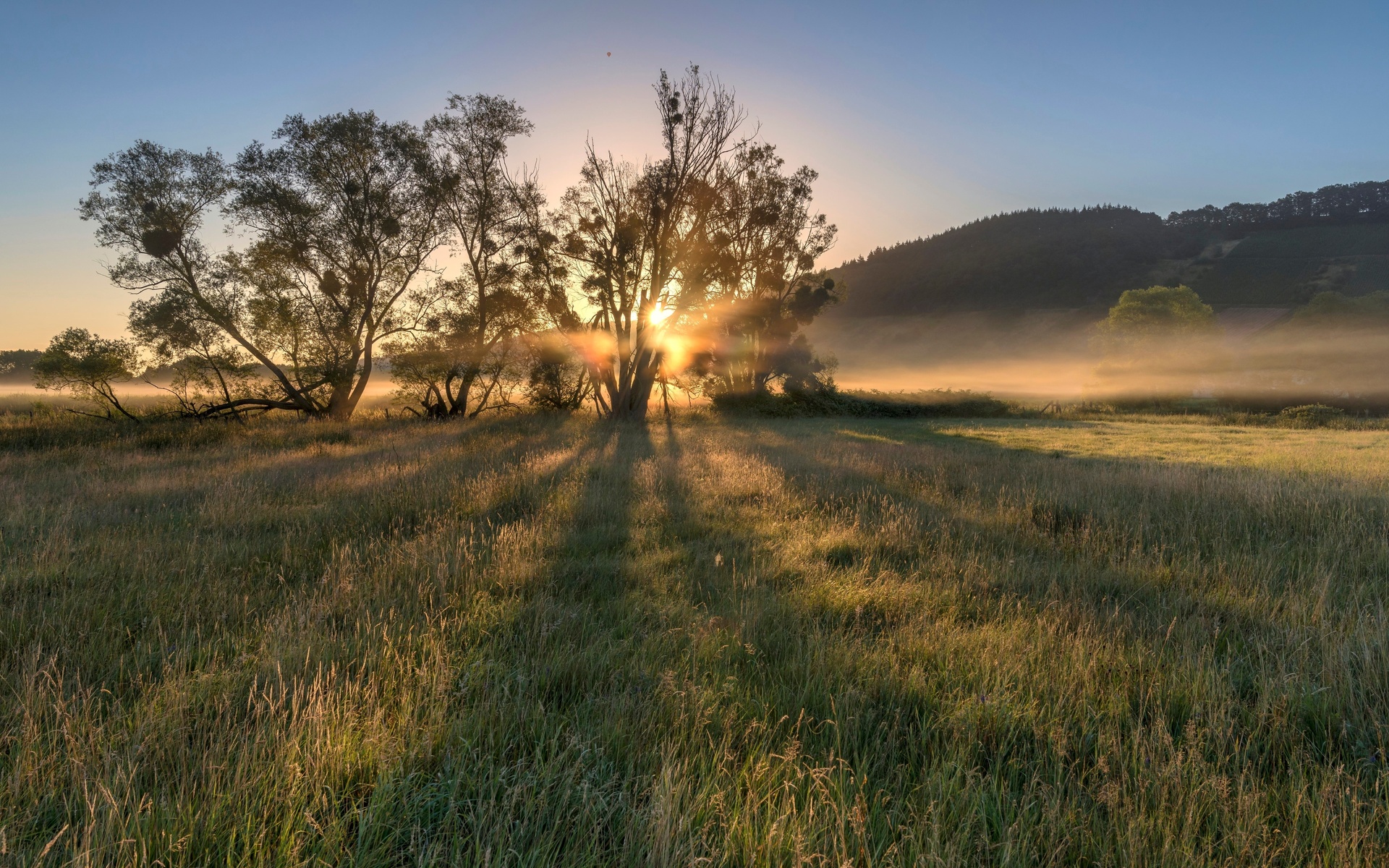 , , moselle valley, , 