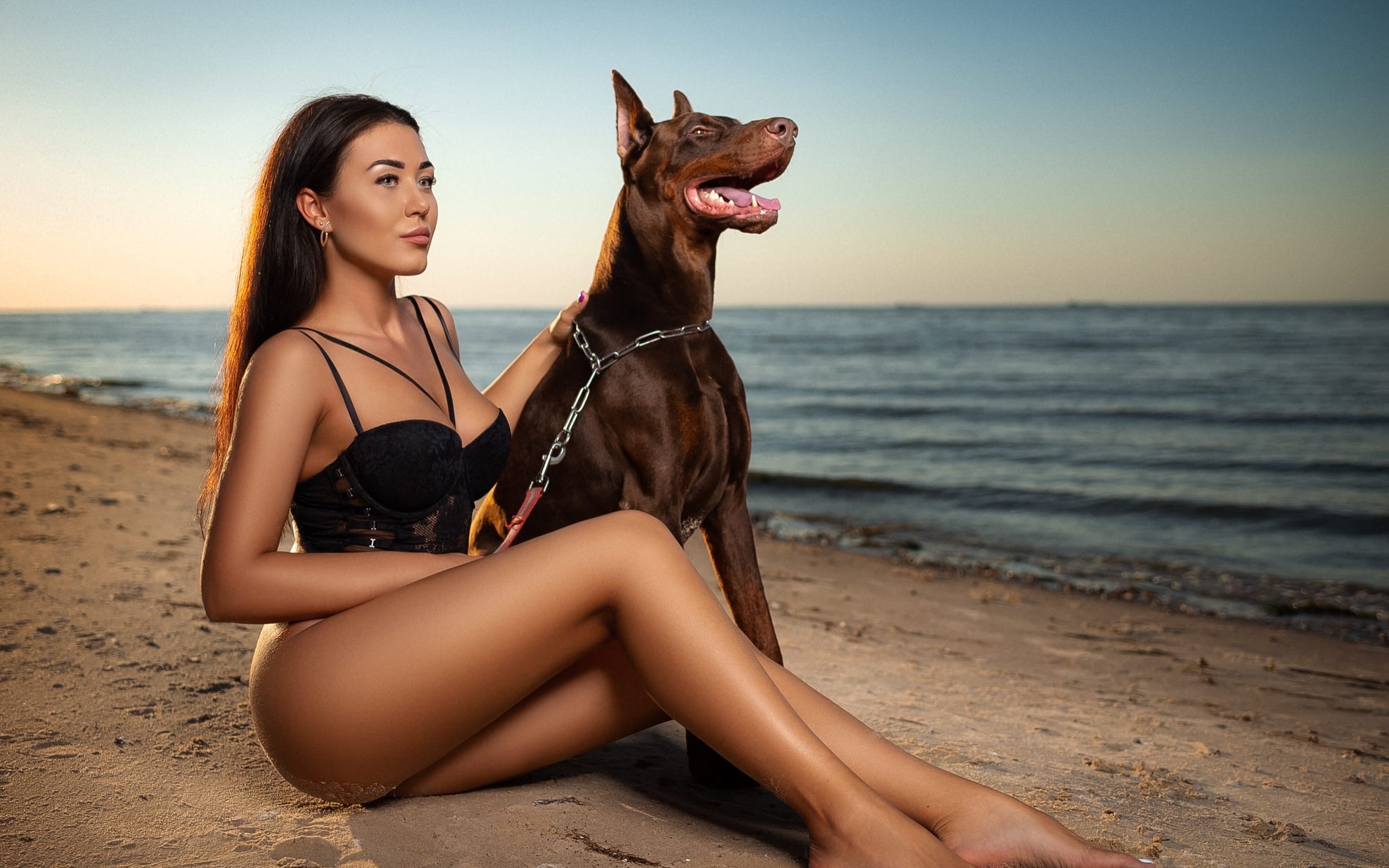 women, sergey gokk, sitting, beach, sand, sea, dog, black lingerie, ass, sand covered, sky, women outdoors, chains, brunette, animals