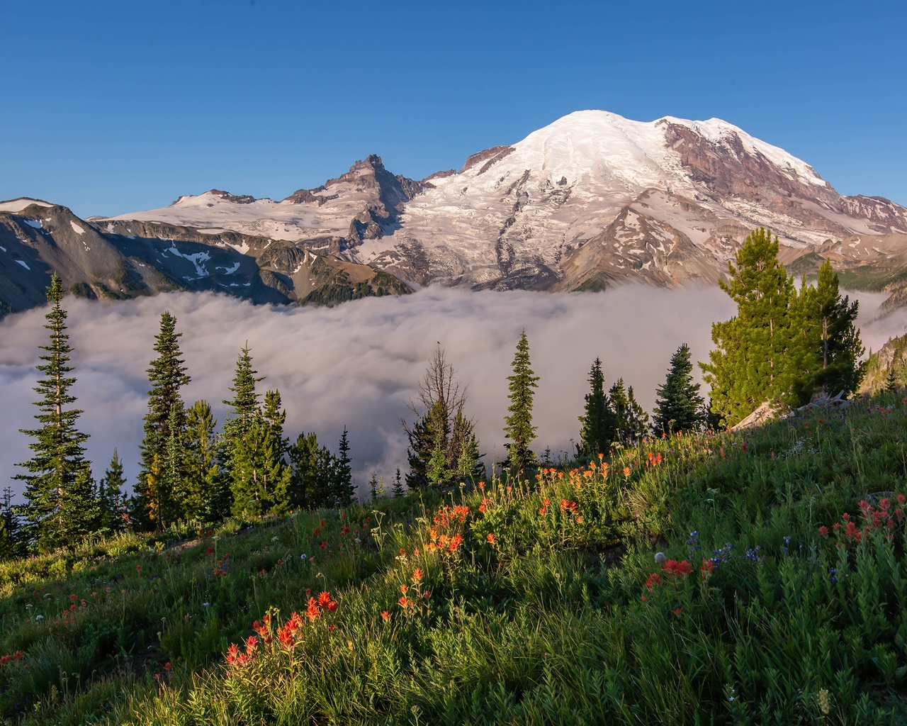 , mount, rainier, national park, , , 