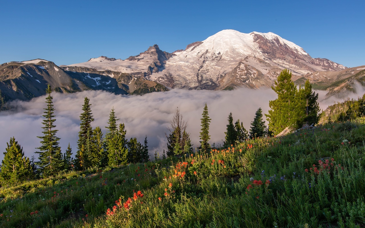 , mount, rainier, national park, , , 