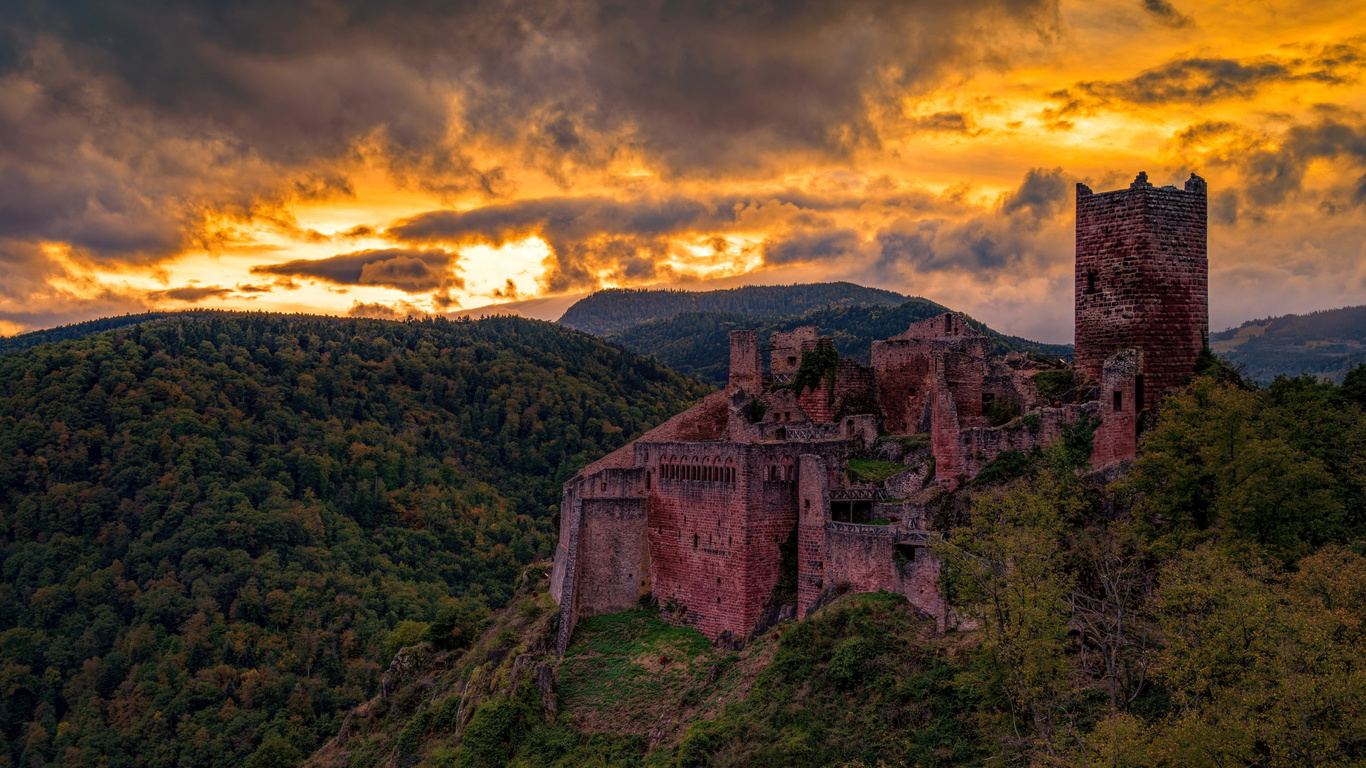 saint-ulrich castel, ribeauville, chateau de saint-ulrich, evening, castles of france, ancient castle, forest