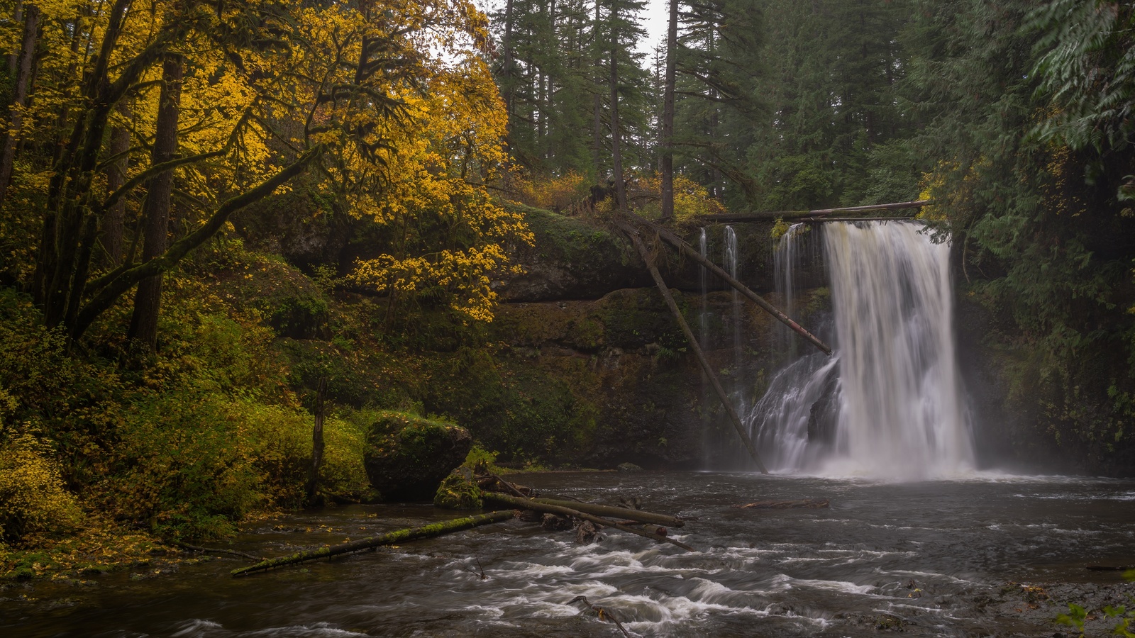 , , , oregon, silver falls state park, upper north falls, silver, creek, , 