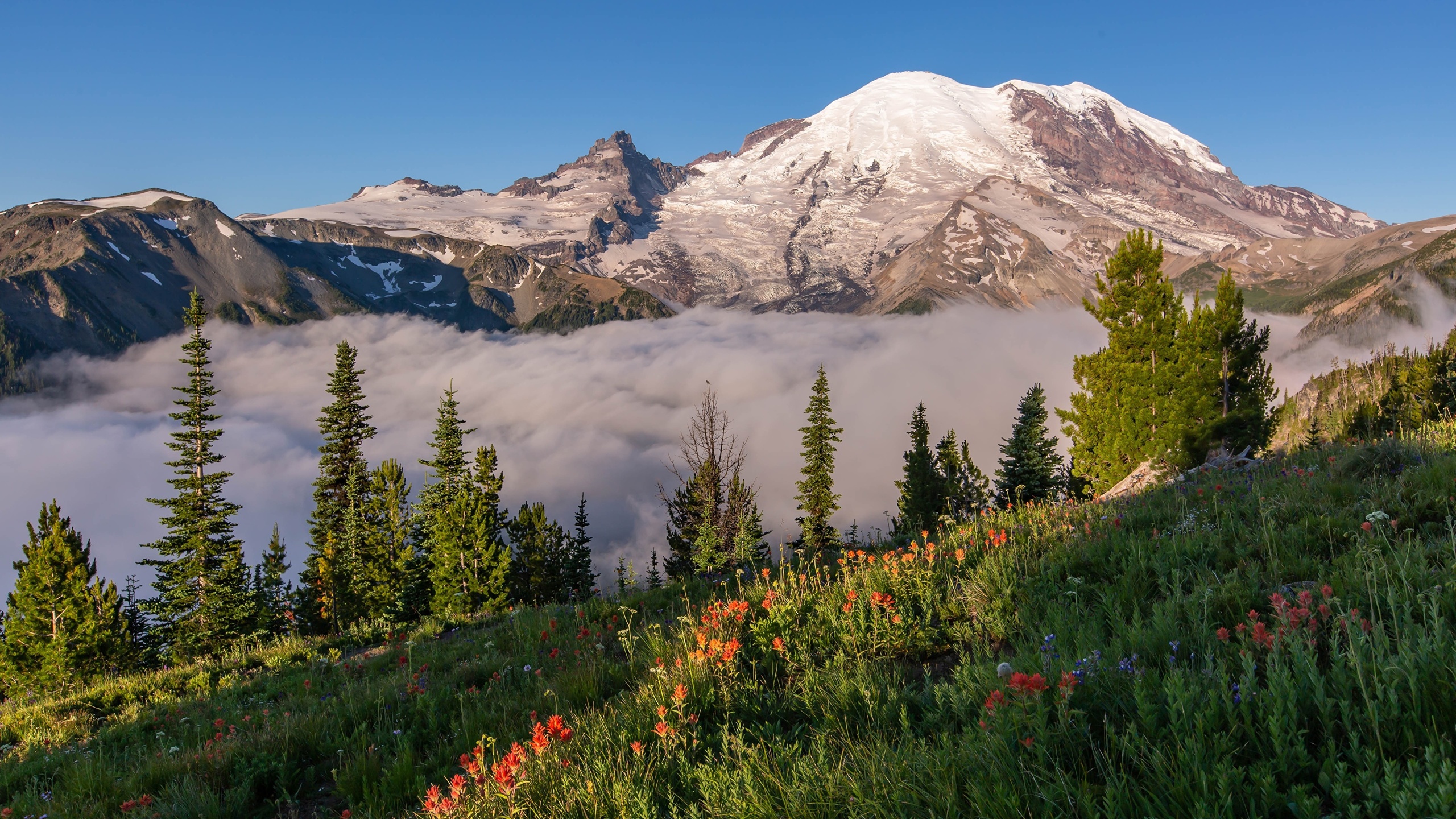 , mount, rainier, national park, , , 