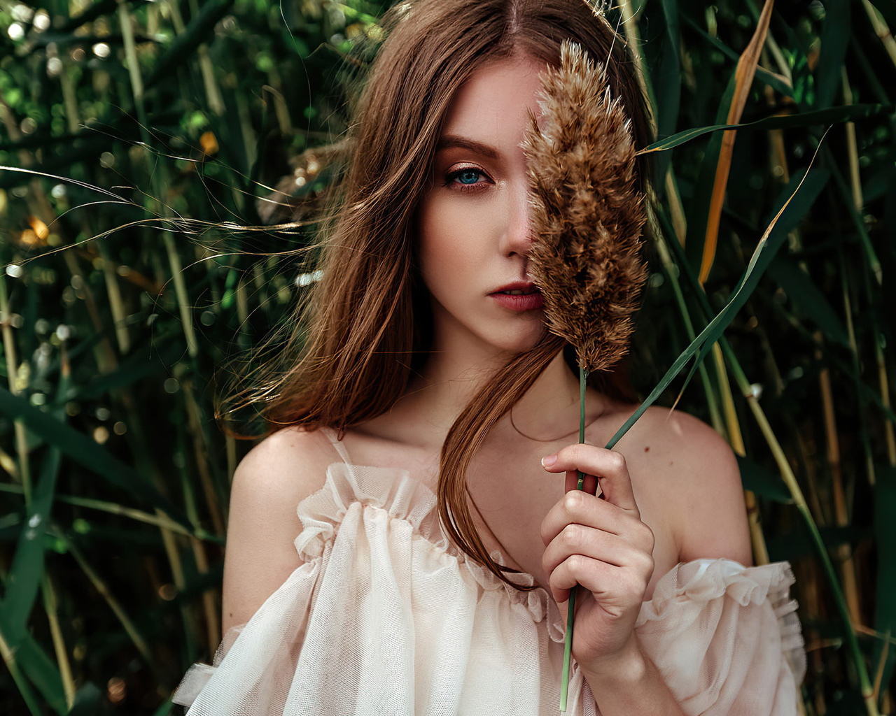 women, blue eyes, portrait, face, bare shoulders