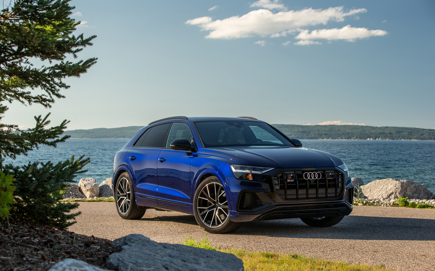 audi, sq8, tfsi, north america, 2020, , 