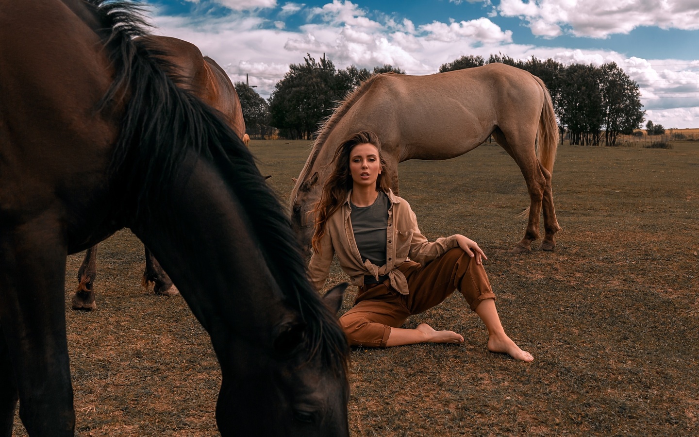 women, sitting, grass, sky, clouds, horse, animals, women outdoors, trees, pants, shirtt-shirt, 