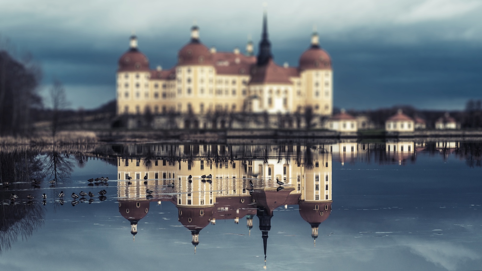 , , , moritzburg, castle, saxony, , 