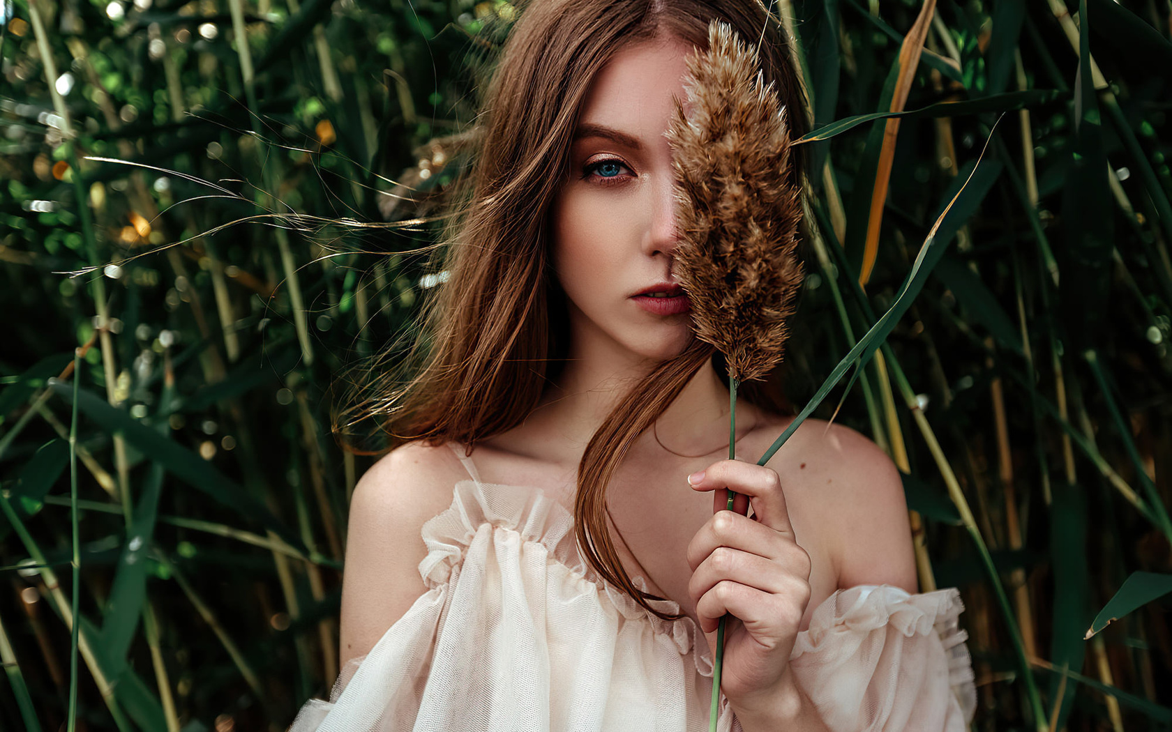 women, blue eyes, portrait, face, bare shoulders