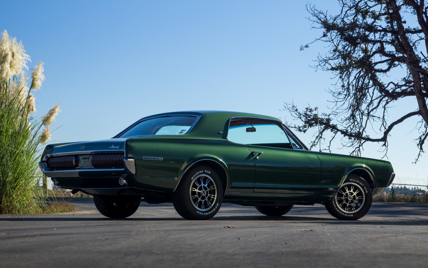 mercury, cougar, xr7, 1967