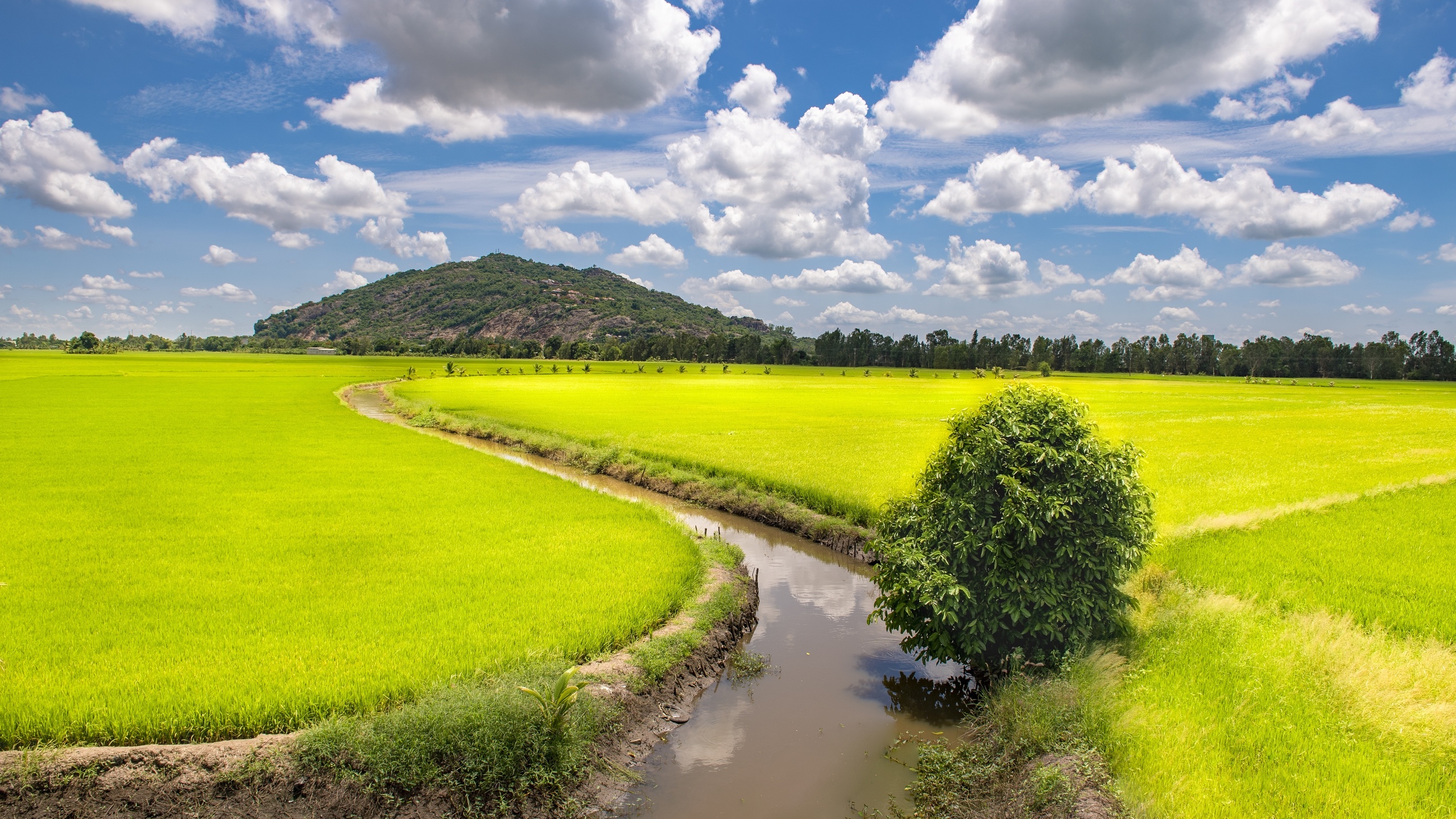 , , trung khanh, district, cao bang, province,  , , 