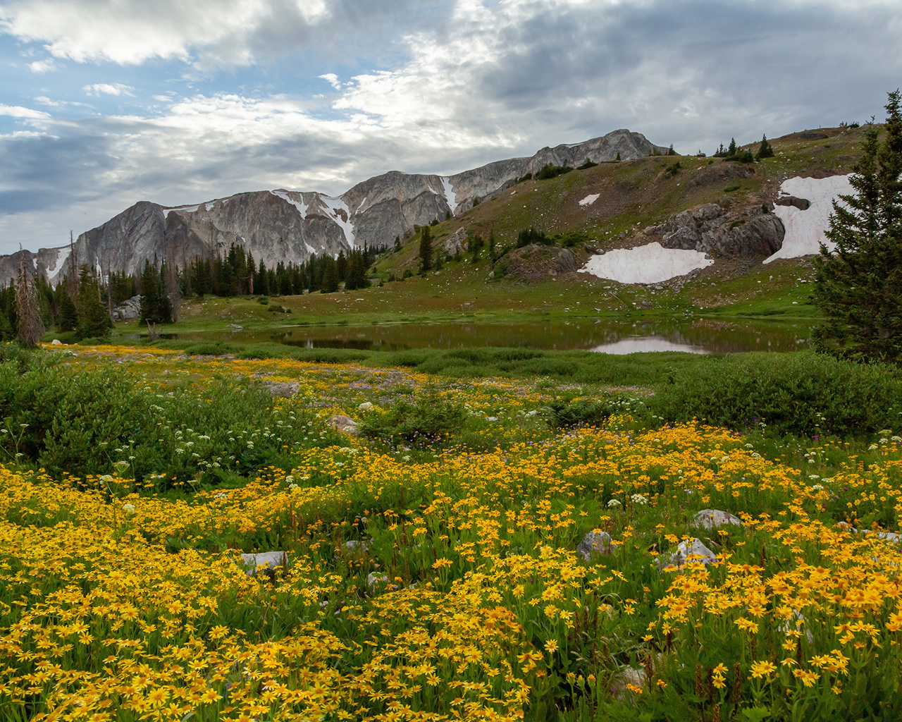 , , medicine, bow-routt, national, forests, , 