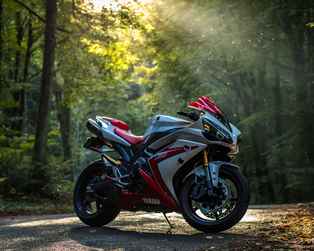 yamaha, r1, , , ,  