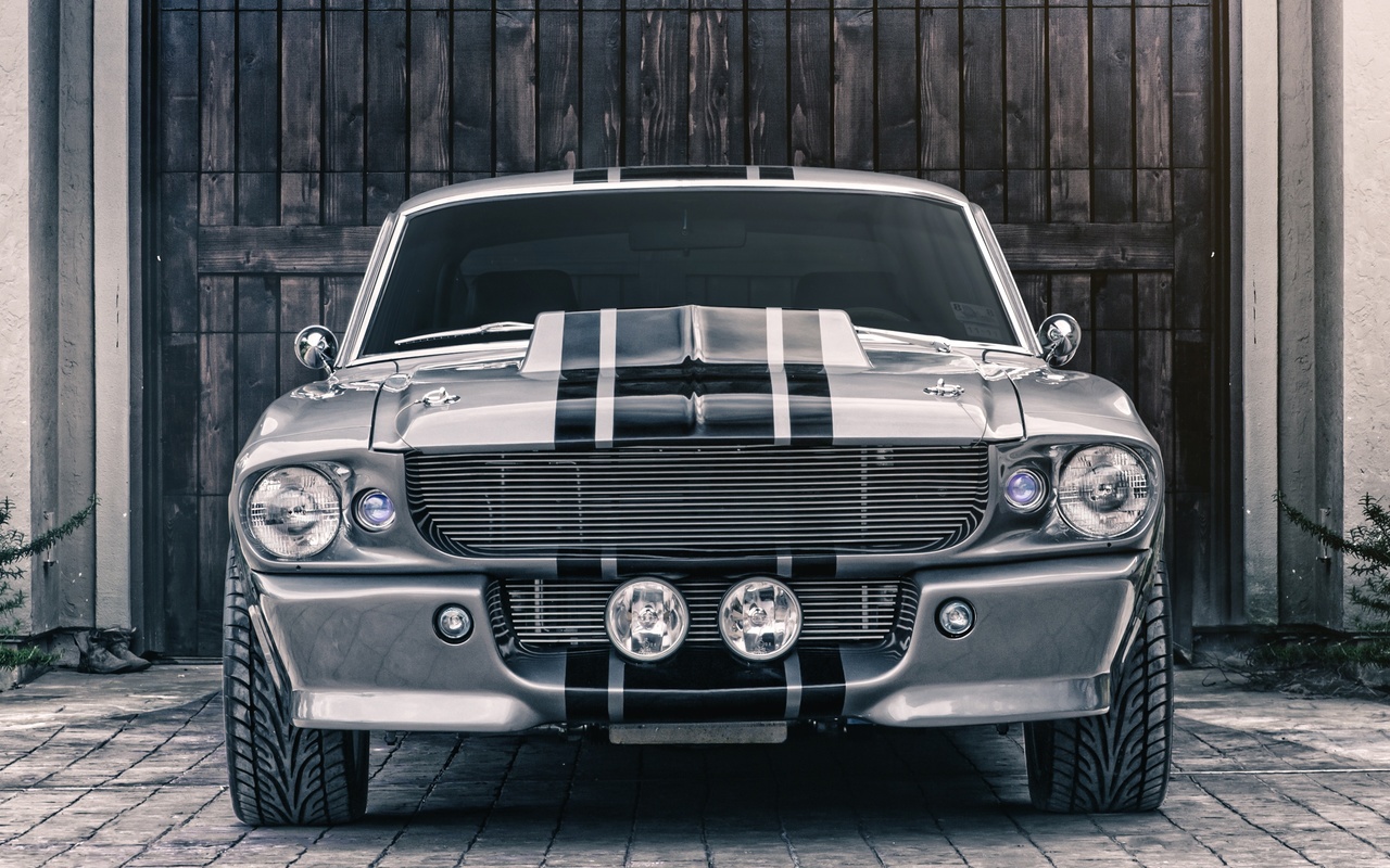 ford, mustang, shelby, gt500, eleanor, , , 