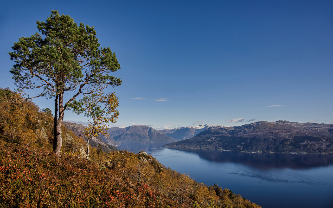 , , hardangerfjorden, , 