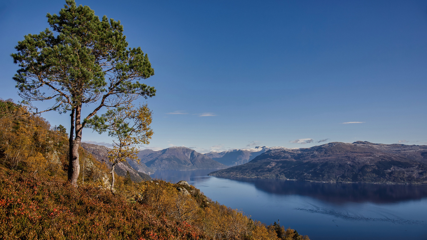 , , hardangerfjorden, , 