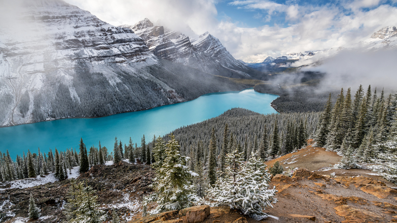 , , , , peyto, lake, alberta, , , 