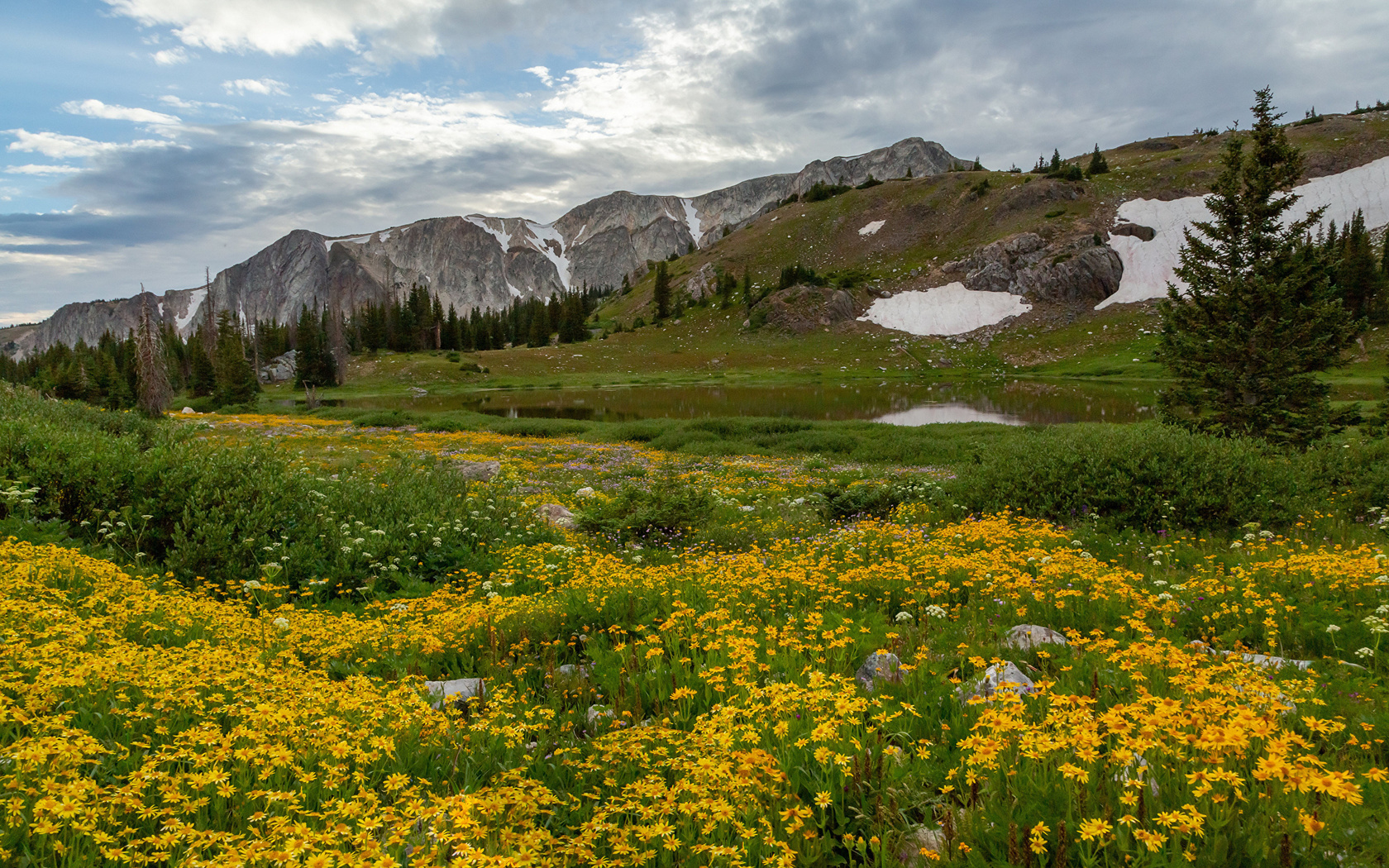 , , medicine, bow-routt, national, forests, , 