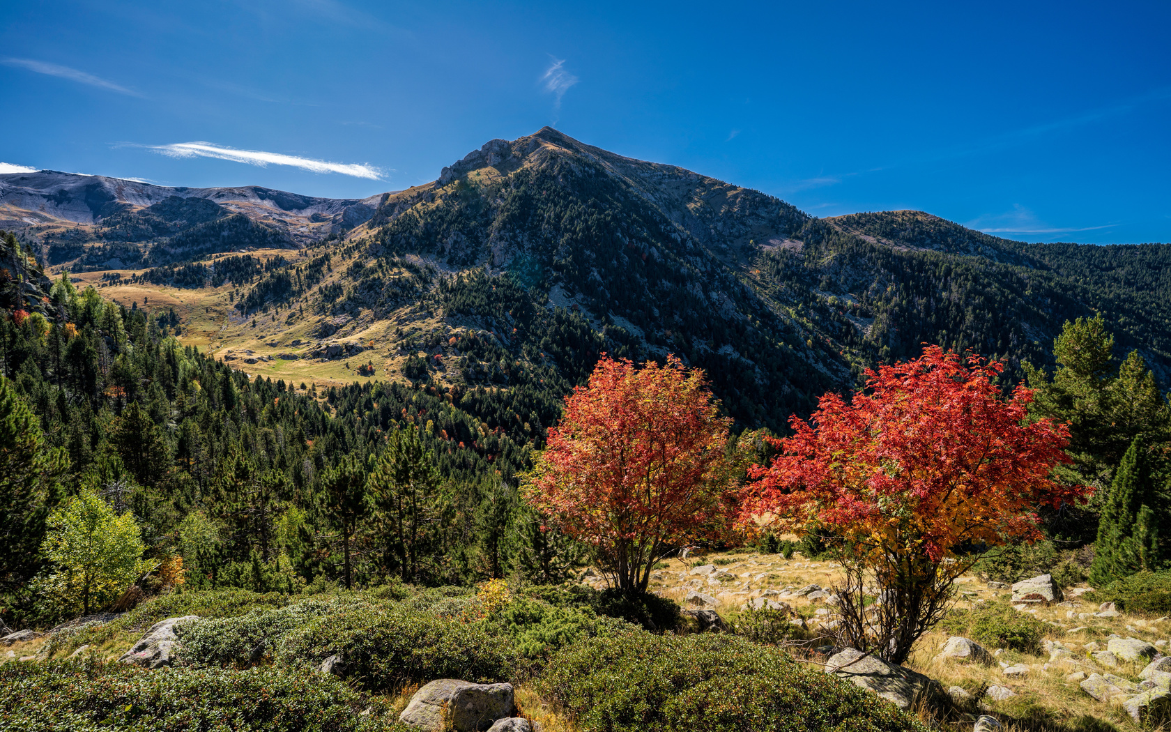 , , , pyrenees, , 