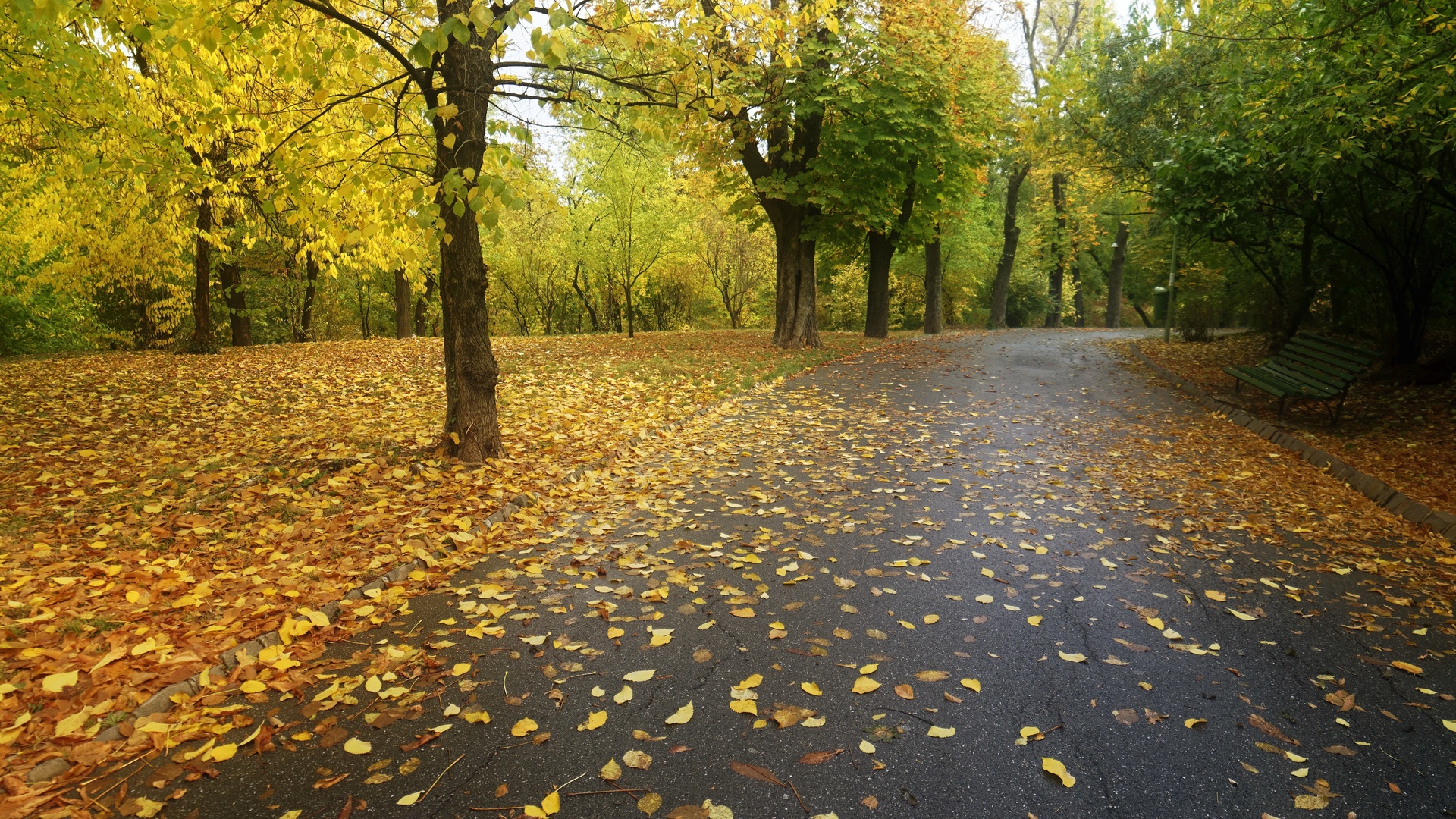 Обои парк кубатура