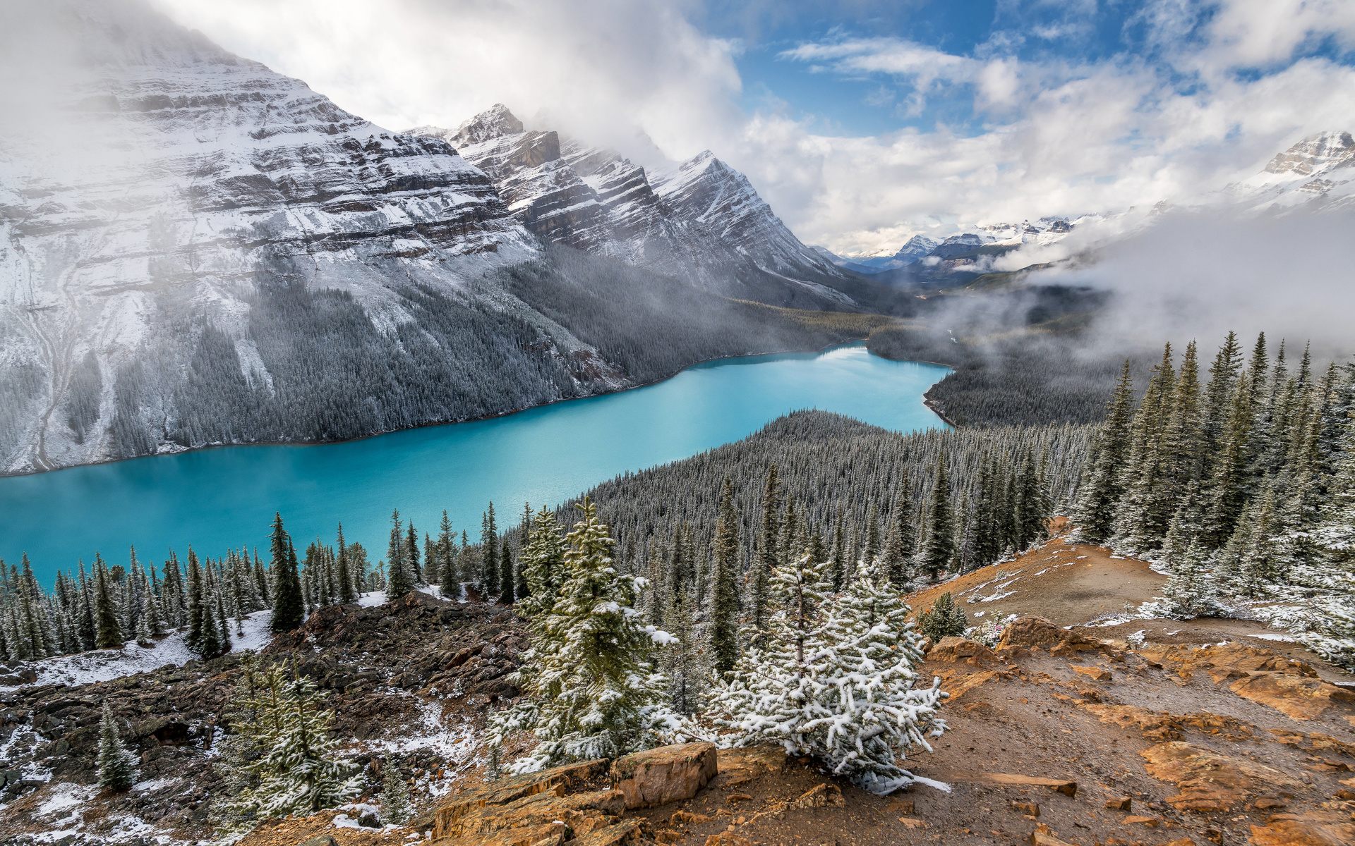 , , , , peyto, lake, alberta, , , 