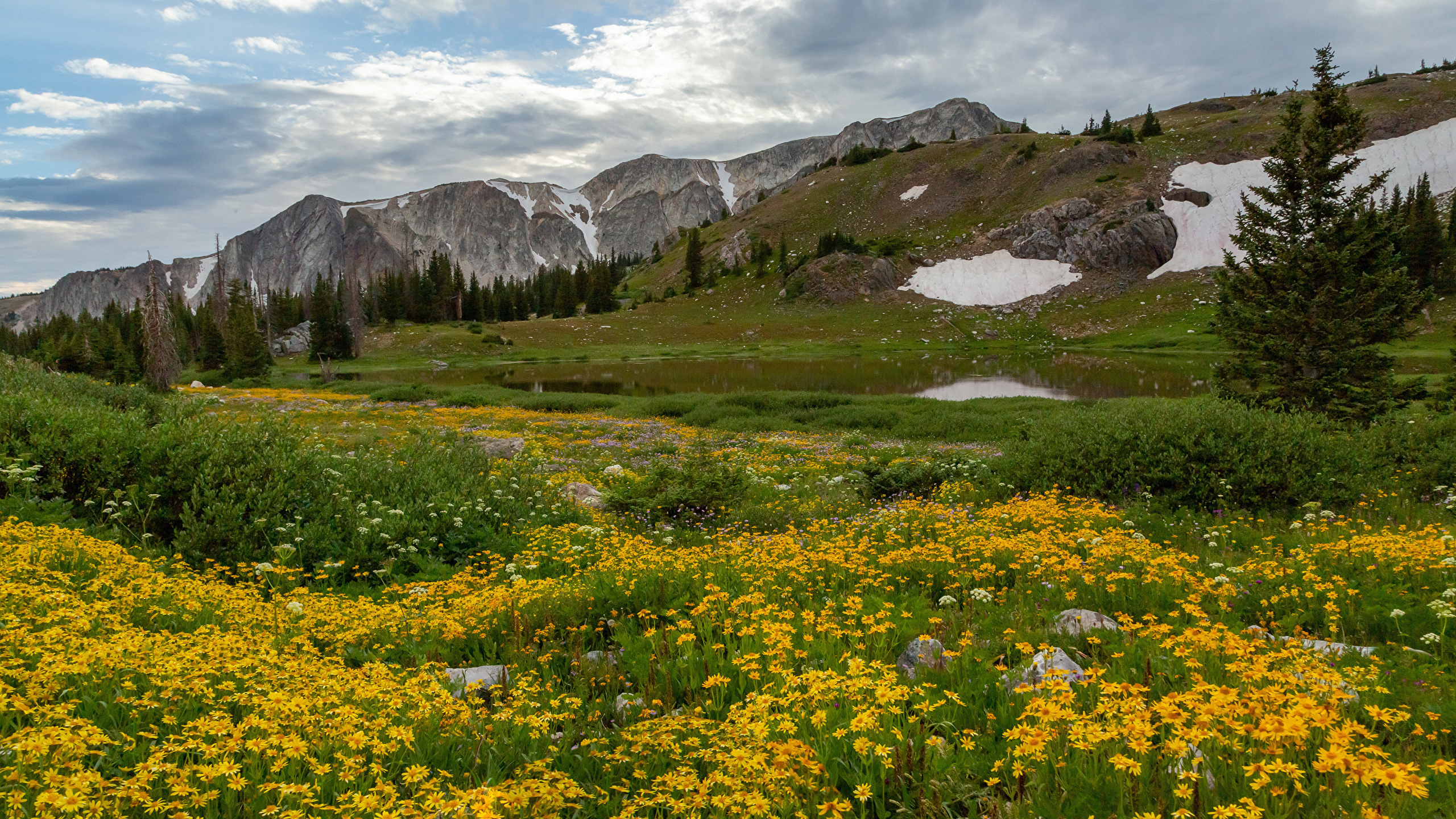 , , medicine, bow-routt, national, forests, , 