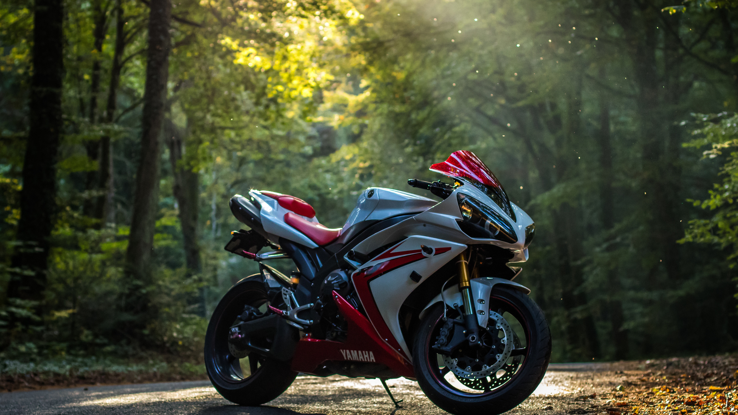 yamaha, r1, , , ,  