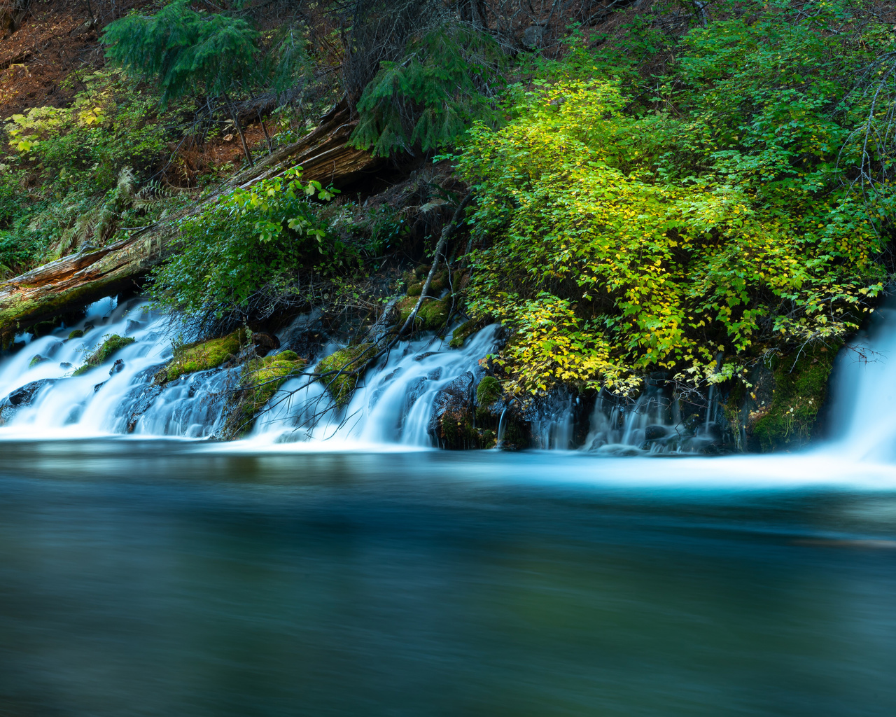 metolius, river, oregon, 