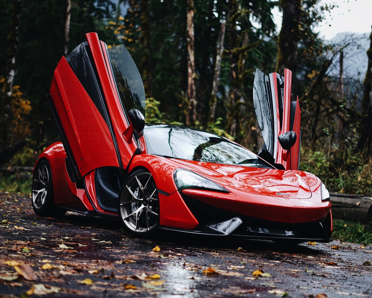 mclaren, 570s, , , 