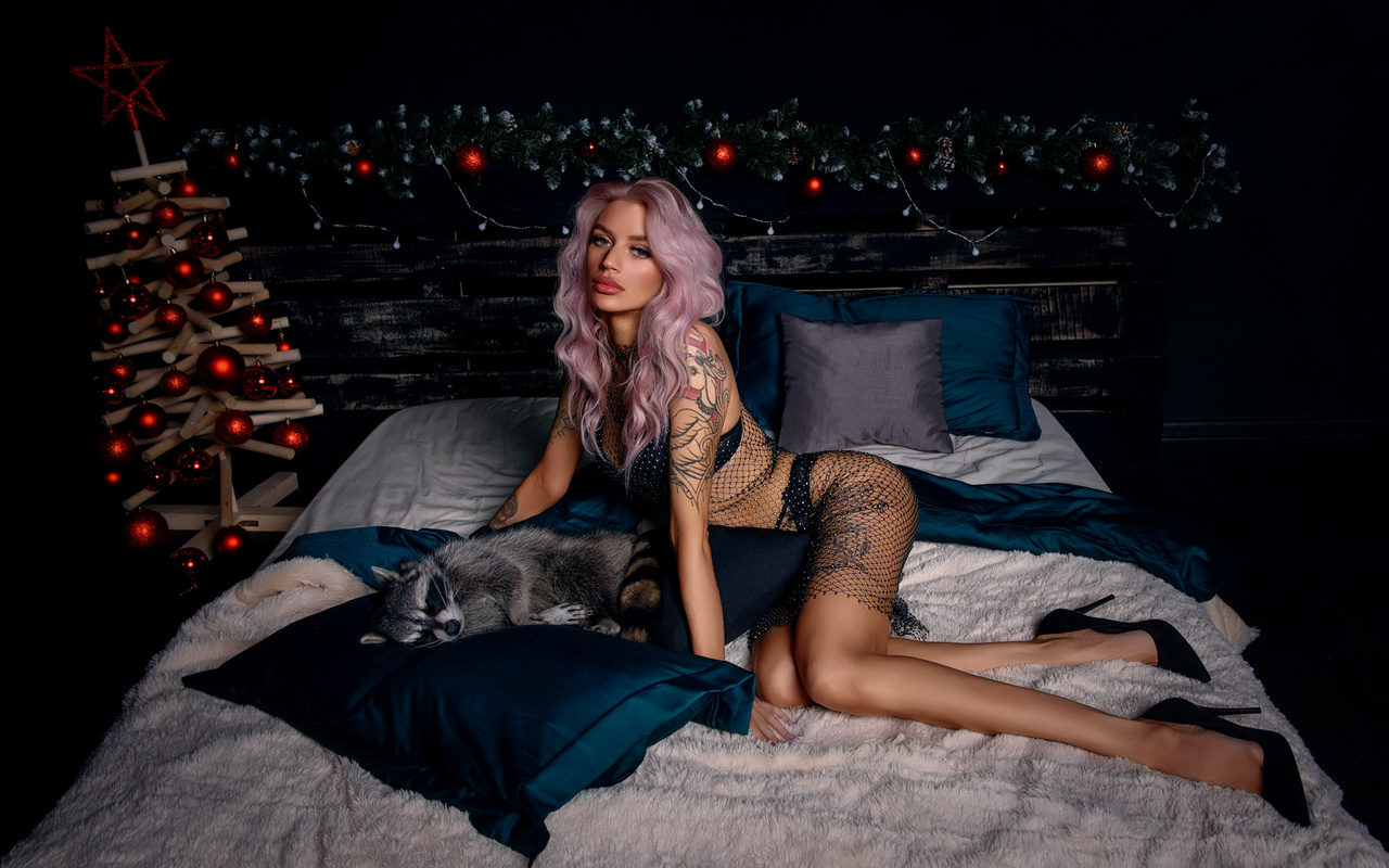 women, dyed hair, black lingerie, tattoo, brunette, high heels, ass, animals, pillow, in bed, women indoors, raccoons, fishnet, christmas tree, sitting