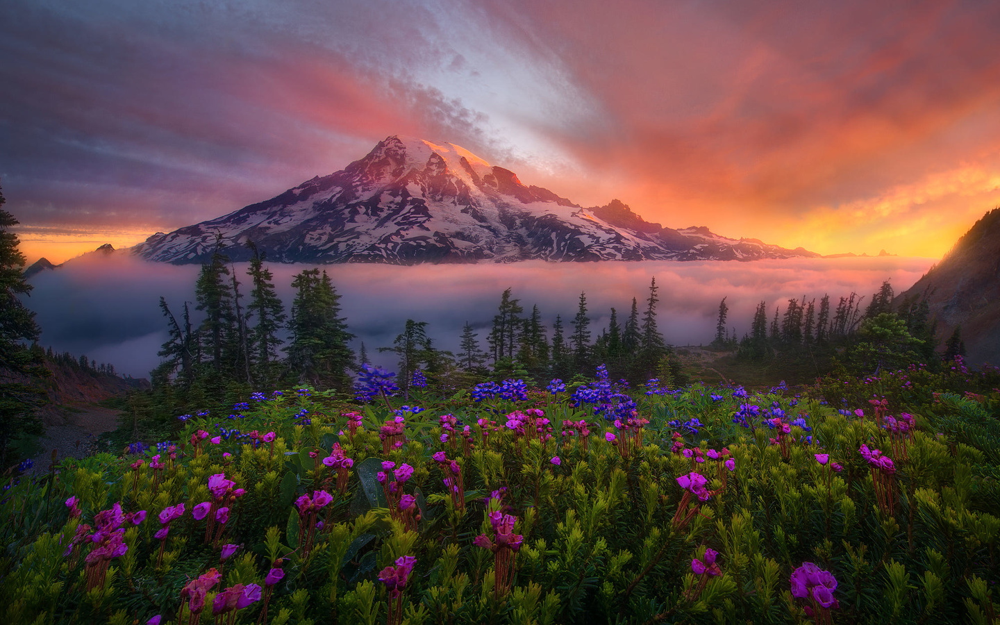 , , , , , , , , , ,  , national park, mount rainier, -