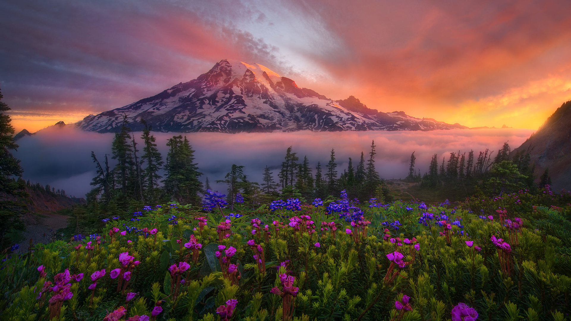 , , , , , , , , , ,  , national park, mount rainier, -