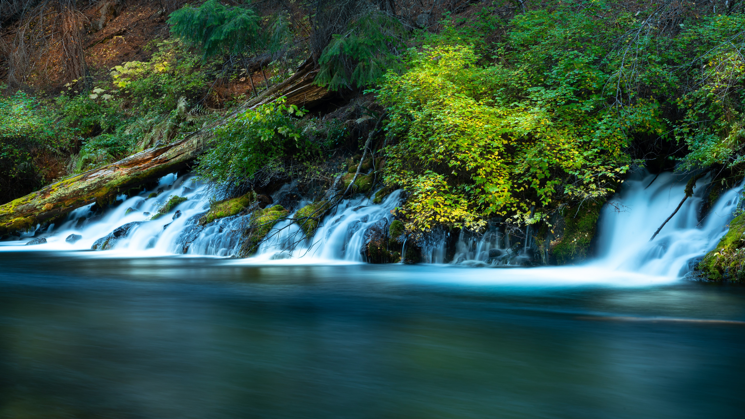 metolius, river, oregon, 