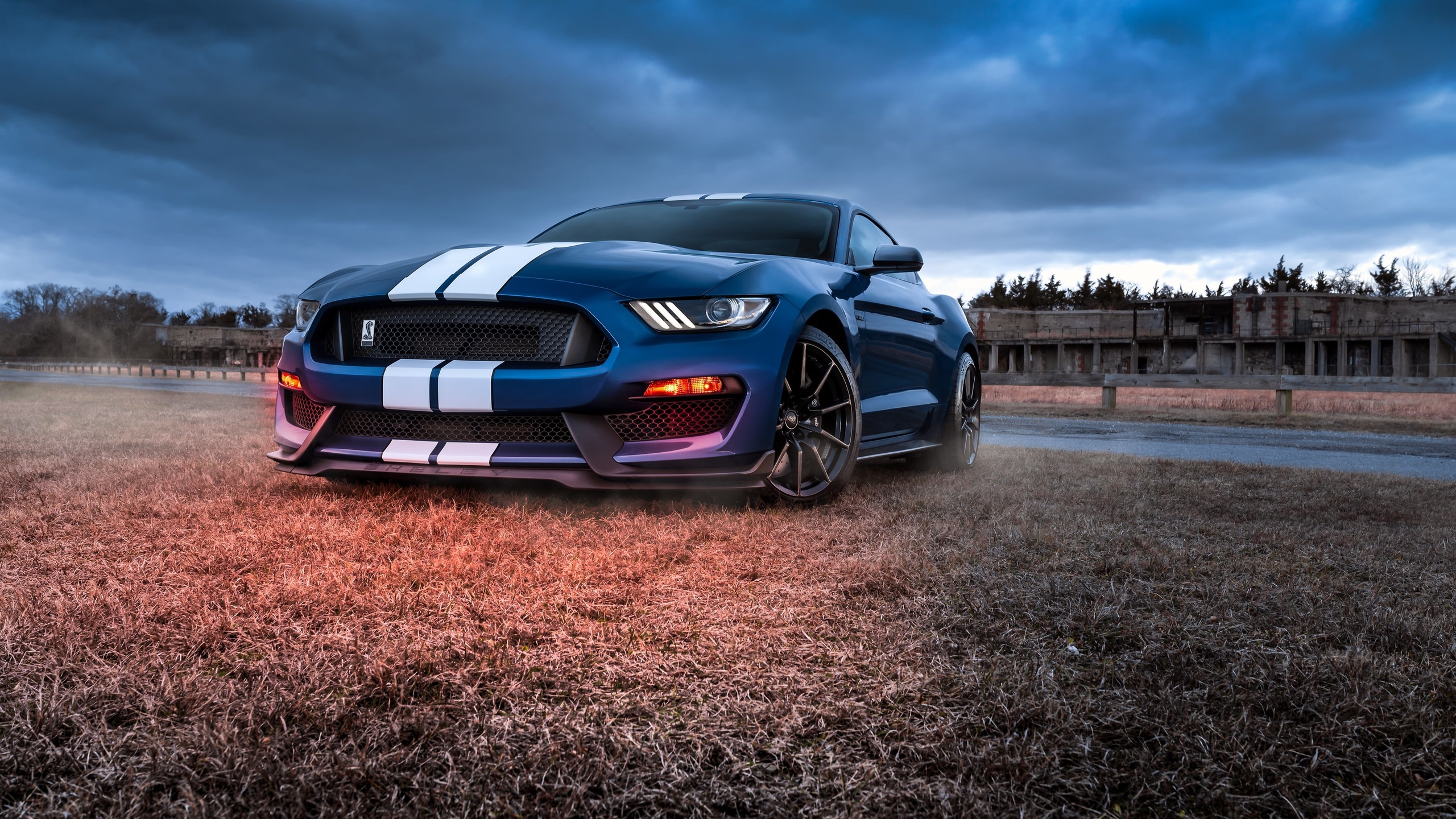 blue, car, ford, mustang