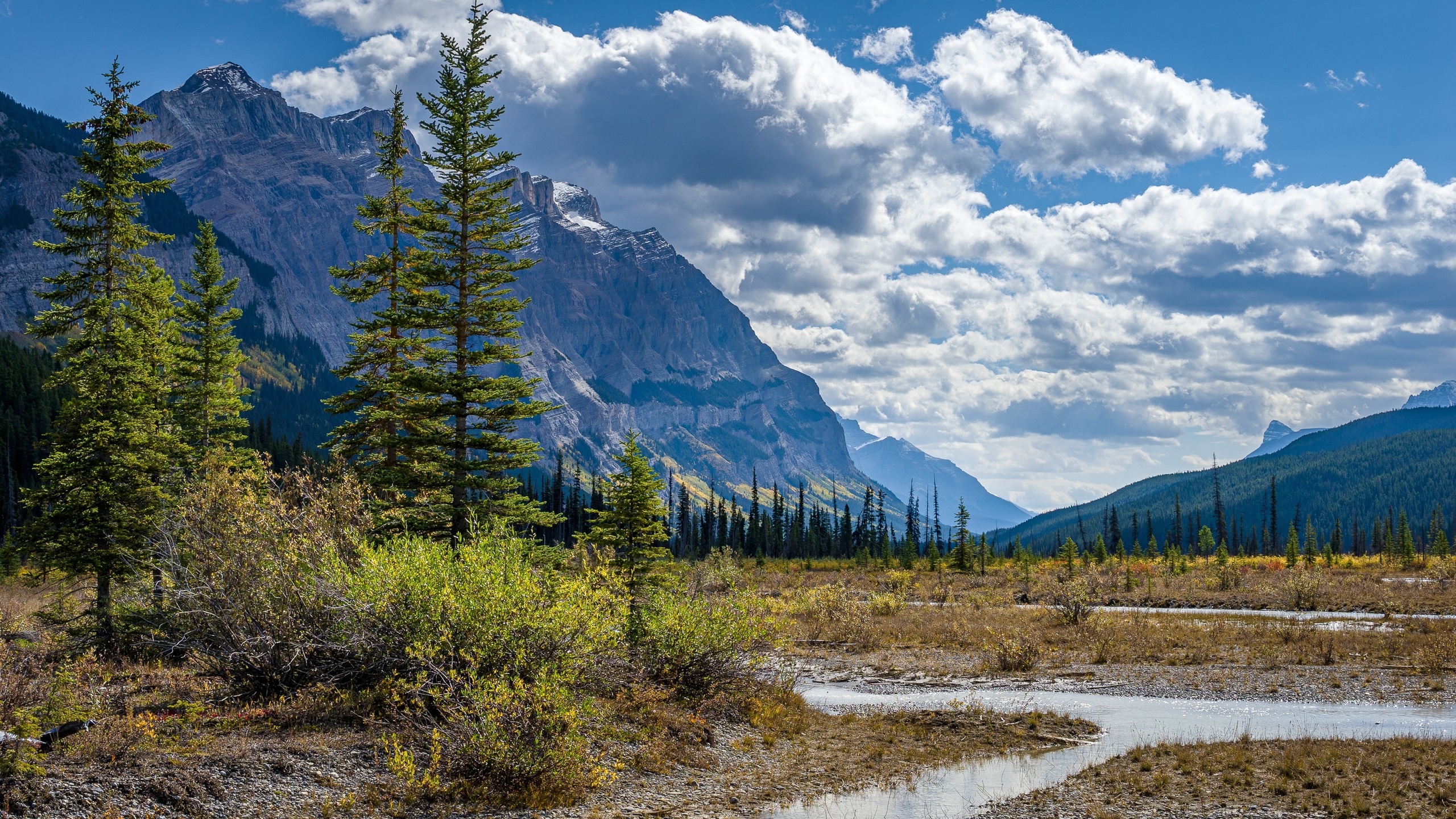 , , , rocky, mountains, alberta, , , 