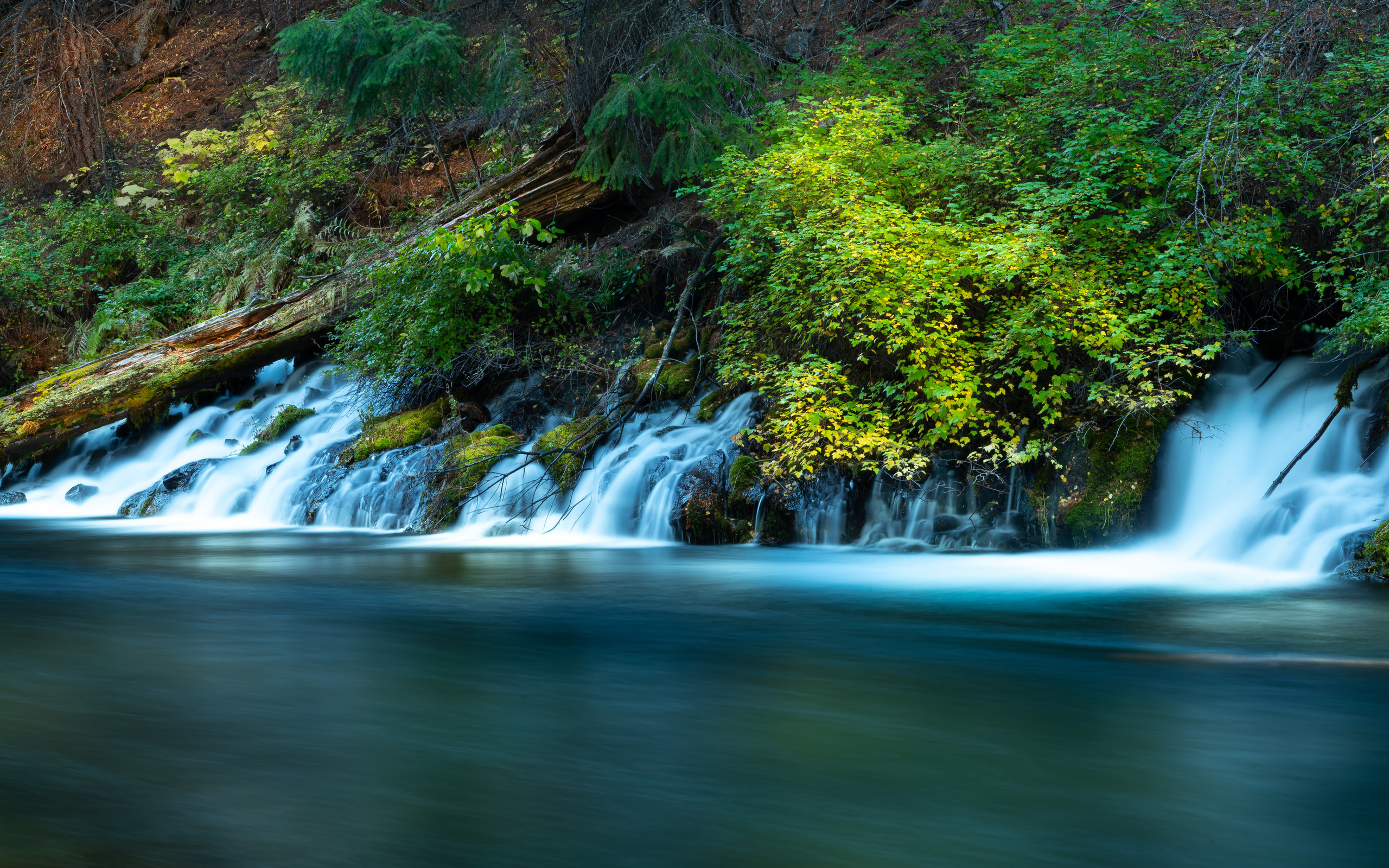 metolius, river, oregon, 