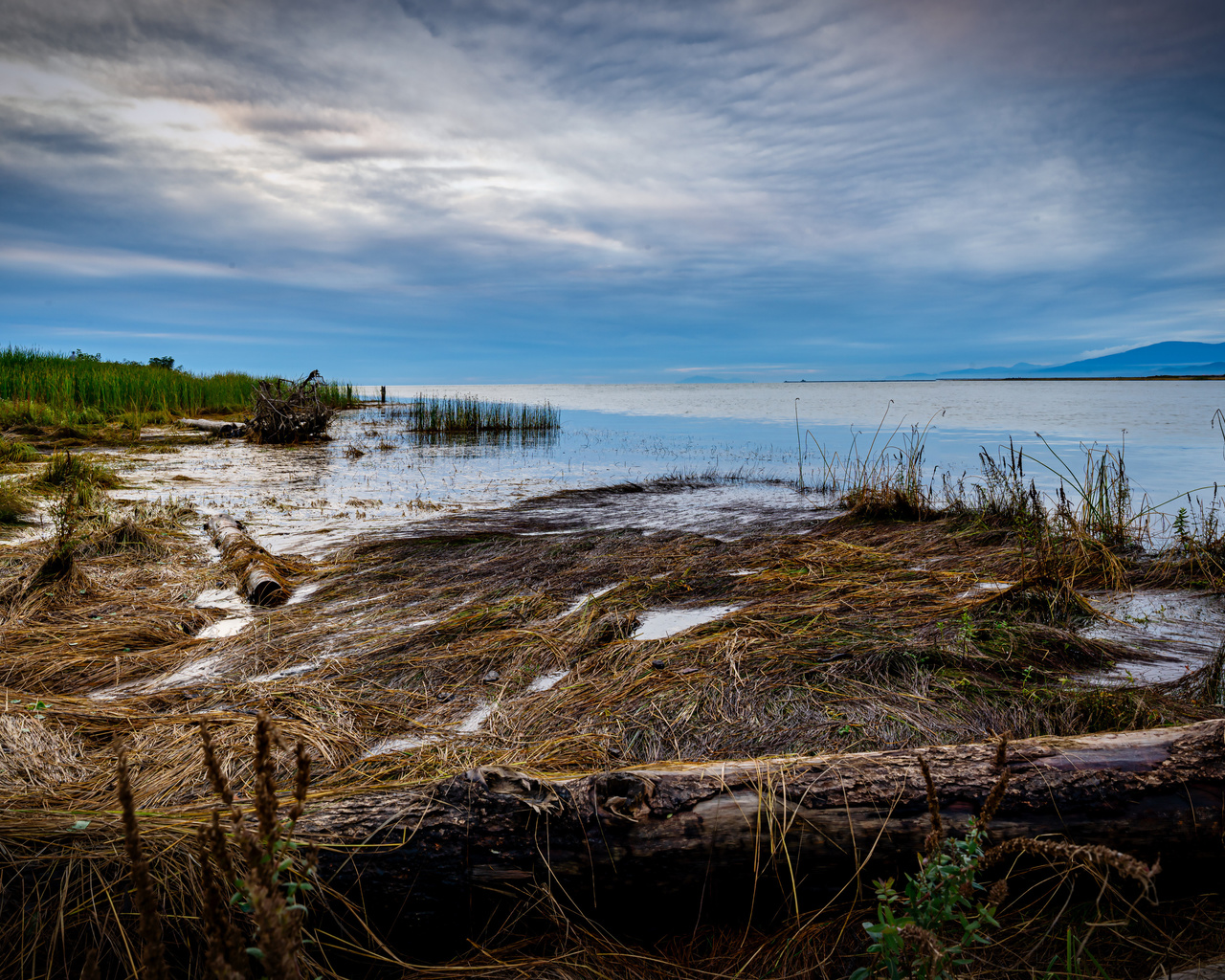 , fraser, river, british, columbia, 