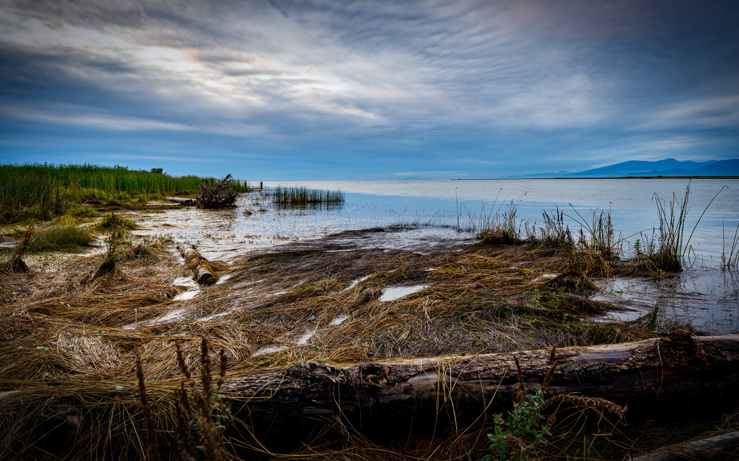 , fraser, river, british, columbia, 